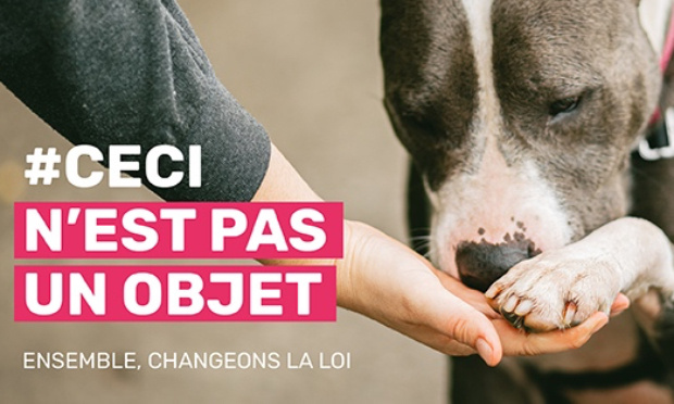 IRON - Ensemble, faisons changer la loi ! #CeciNestPasUnObjet