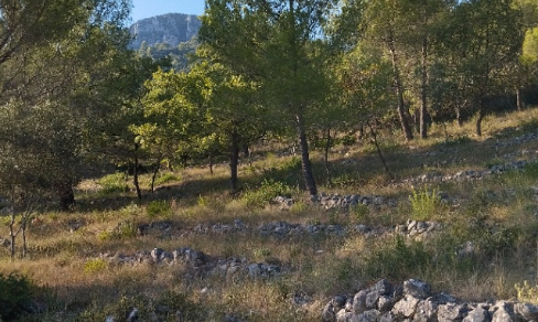 Non au projet désastreux d'antenne 5G  à Tourrettes-sur-Loup !