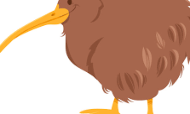 Créer un smiley Kiwi en l'honneur de mon frère