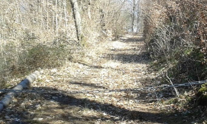 Assez d'accidents : luttons contre les pièges dans les chemins !