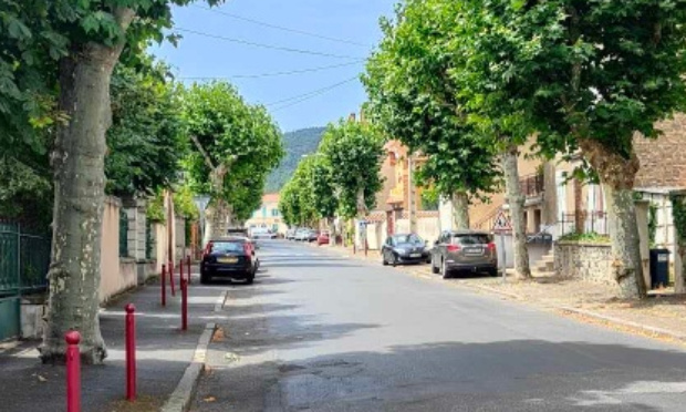 Contre la coupe des arbres de l'Avenue de la Gare à Langeac !