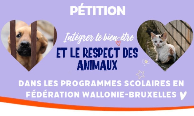 Pour l'intégration du respect et du bien-être des animaux dans les programmes scolaires !