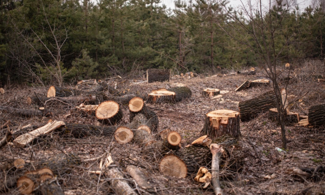 Pour la préemption d'un terrain 'espace boisé classé' par la commune de Mesquer !