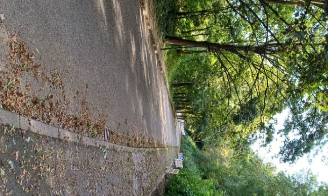 Non à l'insécurité et aux incivilités dans mon quartier.