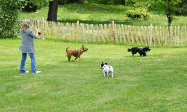 Pour la création d'un parc canin dans la commune de Sombreffe
