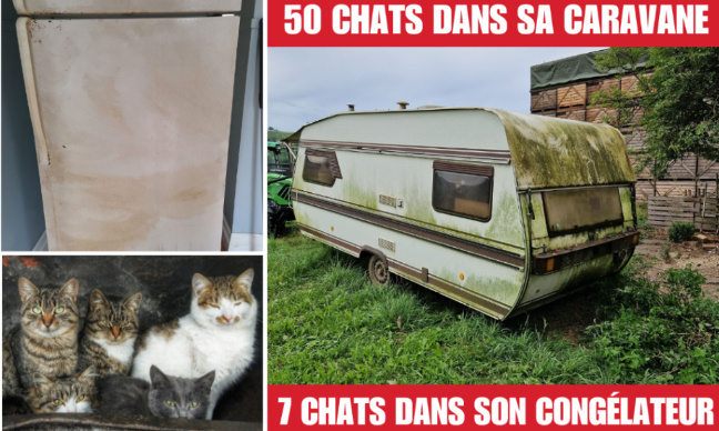 Tolérance zéro pour le cinquantenaire tortionnaire remis en liberté !