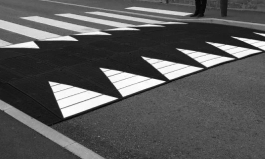 Pour la mise en place de ralentisseurs - arrêtons les accidents, ainsi que les animaux écrasés !