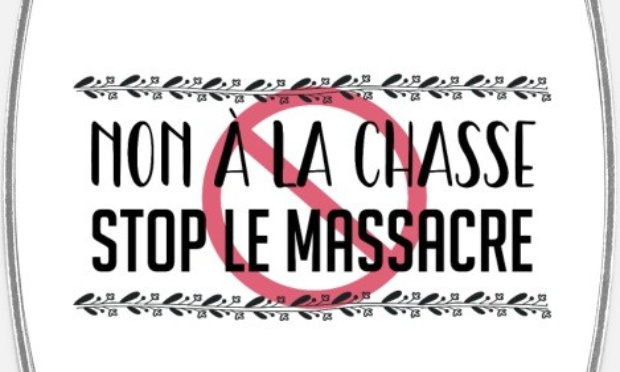 Non &agrave; la chasse