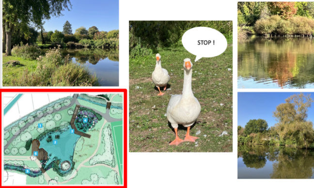 Non au projet d'aménagement de la mare aux canards à Chevreuse !