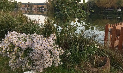 Non à l'expulsion des 260 familles du site de loisirs de la ferme de Vaux