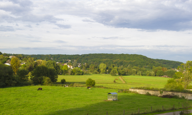 Non au projet de révision du plu de Saint-Rémy-les-Chevreuse !