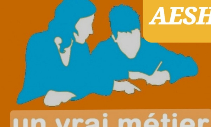 Une AESH pour chaque élève notifié d'un salaire décent et d'un statut !