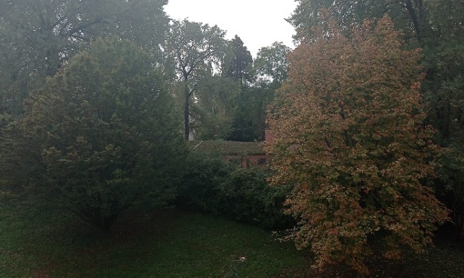 Non à la coupe des arbres sur le Domaine de Beauregard  78170 La Celle Saint Cloud