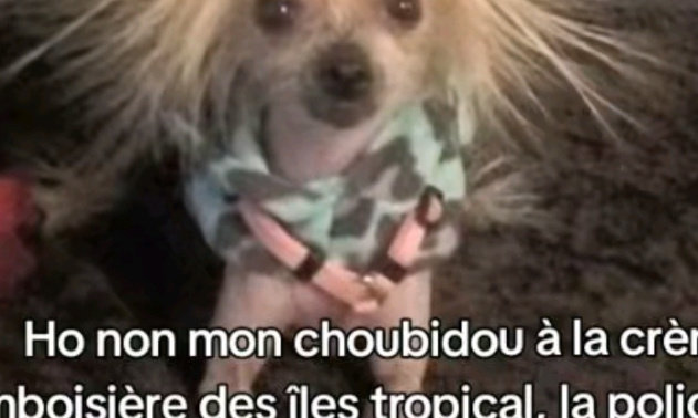 Expulsion d'un appartement