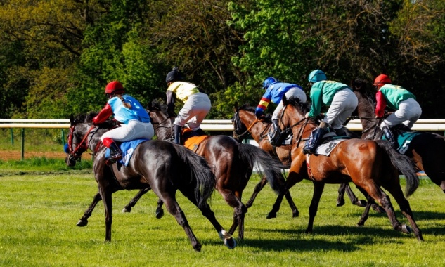Interdiction des course hippiques avec saut de haies. Encore une fois un cheval gravement blessé ce jour.