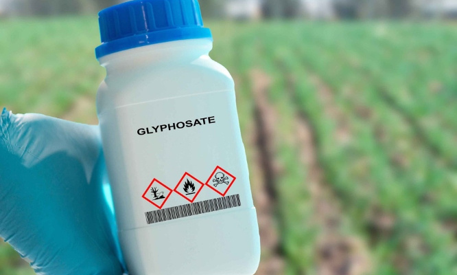 Stop au glyphosate !