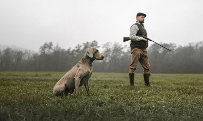 Pour l'abolition de la chasse en France !