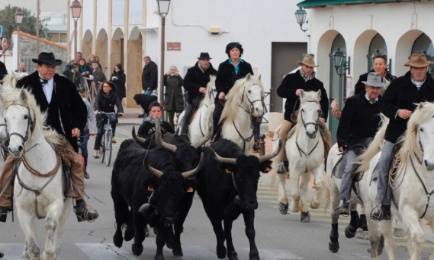 Sauvons nos traditions