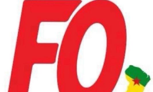 Soutenez notre Péptition pour la Justice et l'Equipe au sein de la CTG - Amélioration des Conditions de Travail des Agents de la CTG Collectivité Territorial de Guyane