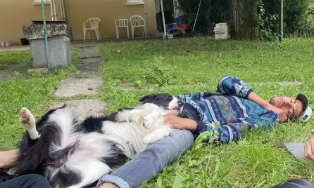 Justice pour Omora : pour des lois plus dures contre le vol et l'irrespect des animaux !