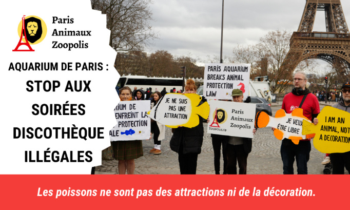 L'Aquarium de Paris doit cesser ses soirées discothèque illégales