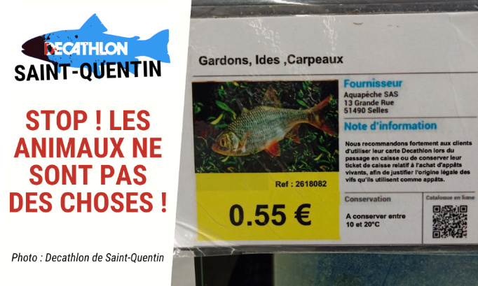 Decathlon, stop ! Les animaux ne sont pas des choses !