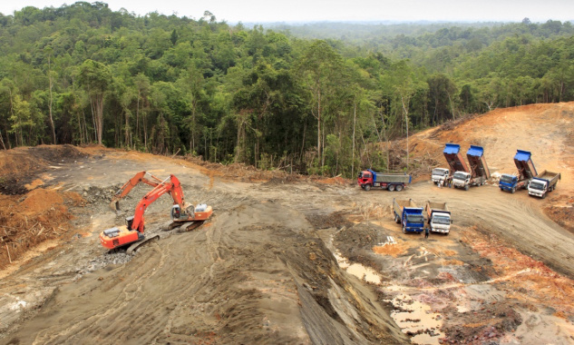 Pour une réglementation stricte de la production d'huile de palme !