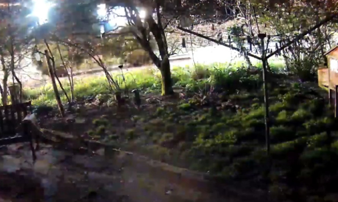 Lettre ouverte de soutien aux végan et opposants à la chasse victimes de harcèlement en Vendée !