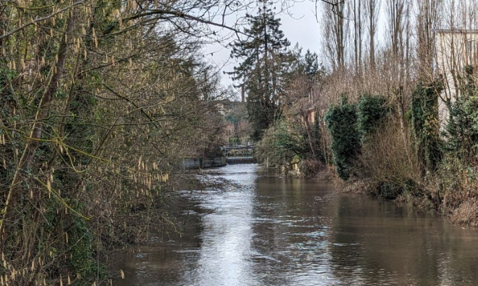 Non au crématorium en centre-ville