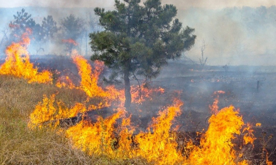 Lutter contre le r&eacute;chauffement climatique