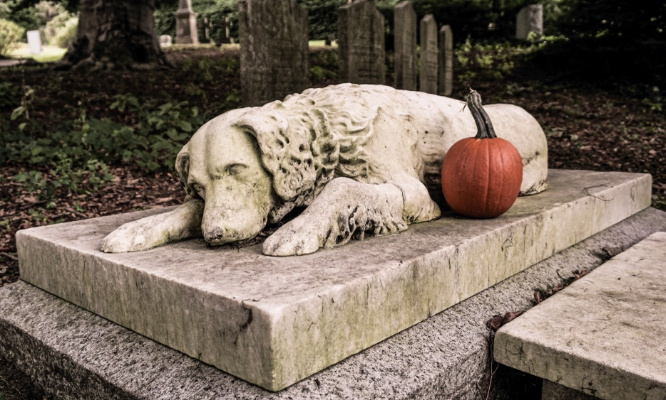 Soutenons la loi pour l'autorisation d'enterrer son animal dans le caveau familial !