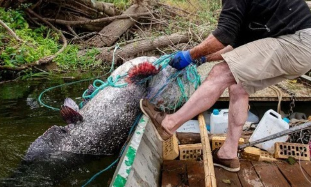 Interdisons la pêche au filet dans nos rivières !