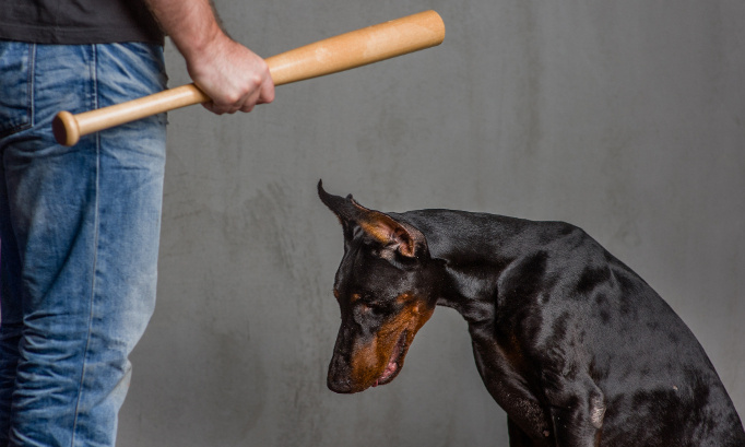 Pour que plus jamais un animal ne souffre sous la main d'un monstre !