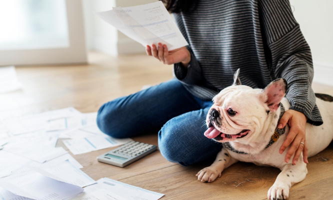 Pour la suppression de la TVA à 20% sur l'alimentation et les soins vétérinaires !