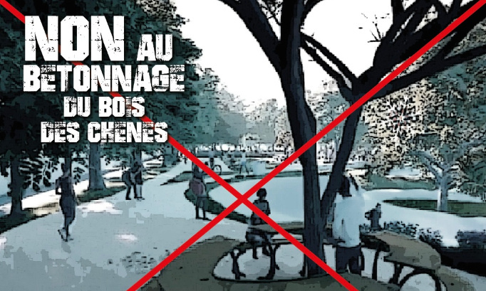 Protégeons le bois des chênes !