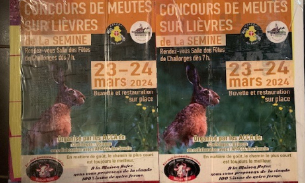 Honte à une manifestation de chasse !