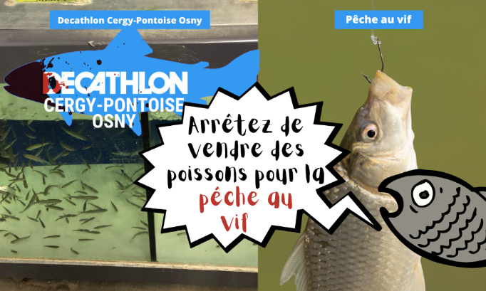 Decathlon Cergy-Pontoise Osny : arrêtez de vendre des poissons pour la pêche au vif