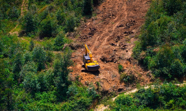 Pour l'interdiction de la déforestation !