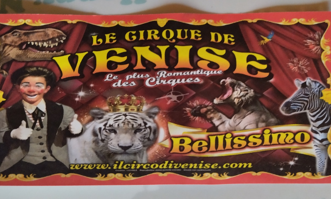 Non aux cirques avec des animaux qui ne méritent pas cette terrible punition : la prison !