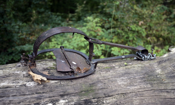 Stop aux braconniers : dangers multiples pour tous !