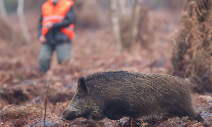 Abolissons la chasse en 2024 !