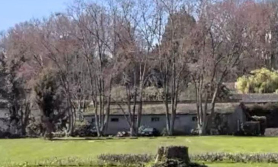 Sauvons nos arbres : Non à l'abattage des arbres ancestraux !