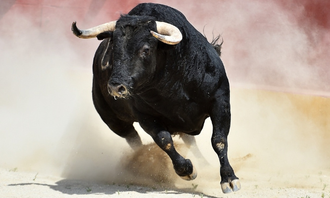 Pour fermer toutes les arènes définitivement pour la corrida !