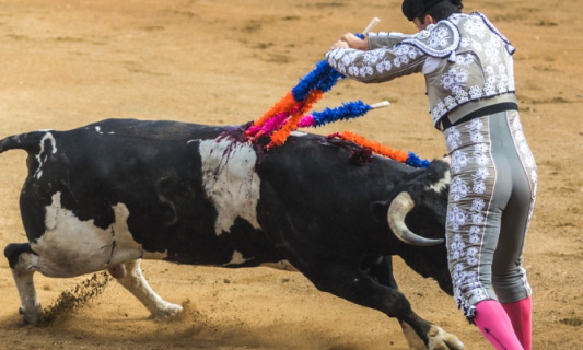 Pour l'abolition de la corrida