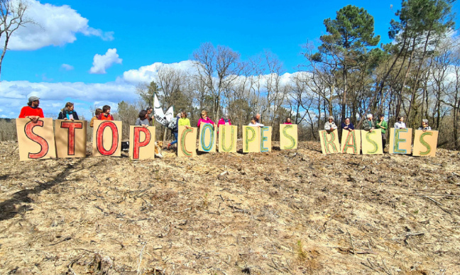 Forêts du périgord en danger : M. le préfet, durcissons la réglementation des coupes rases !