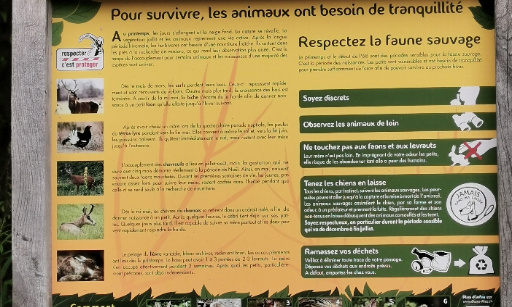 Protection du Vallon de They