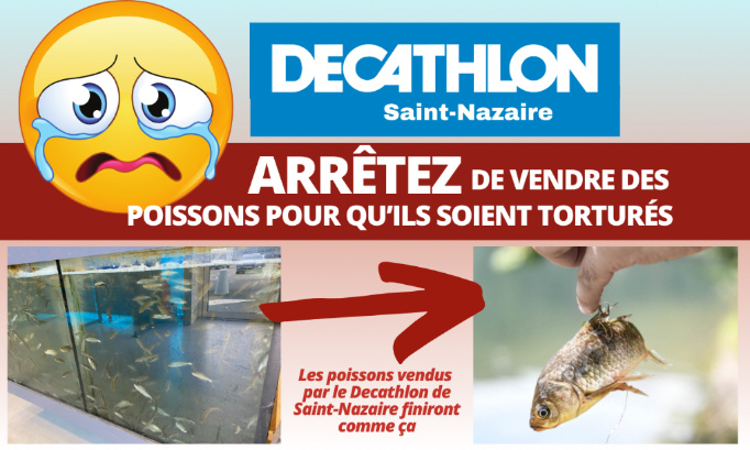 Decathlon Saint-Nazaire : arrêtez de vendre des poissons pour qu’ils soient torturés