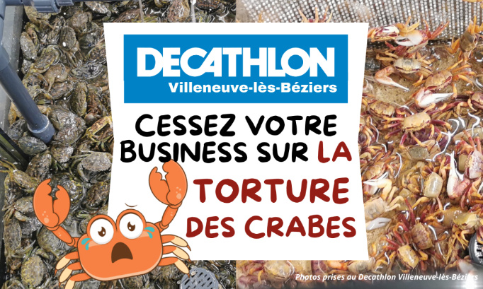 Decathlon Villeneuve-lès-Béziers : cessez votre business sur la torture des crabes