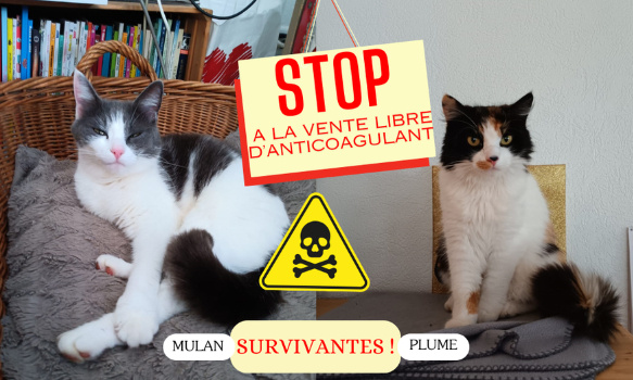 Stoppons la vente libre de rodenticides (anticoagulants)