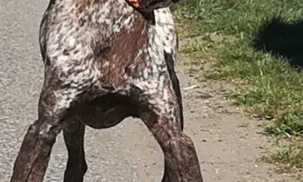 Petition : Ce qui revient à Woody